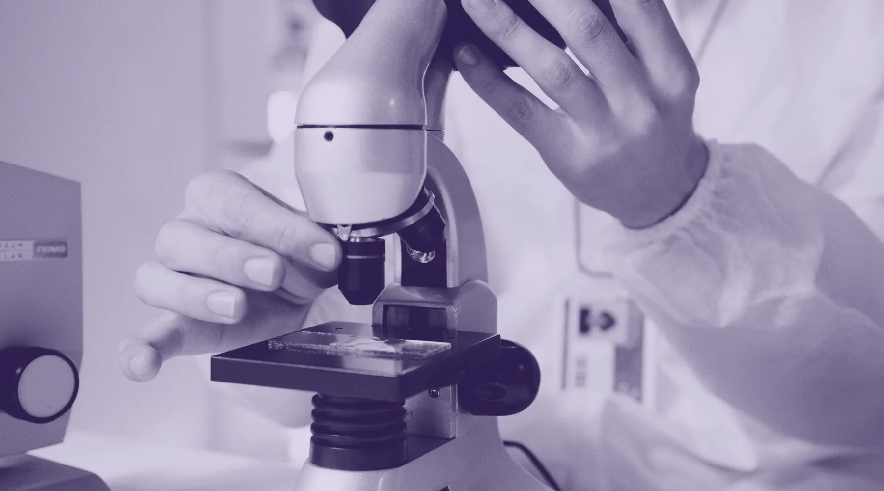Observation au microscope en laboratoire