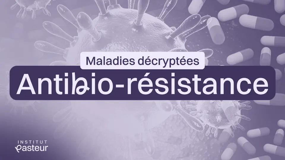 Vignette de la vidéo : Résistance aux antibiotiques : quels usages et perspectives de recherche ? | Maladies Décryptées