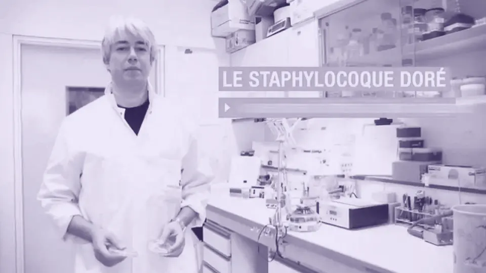 Vignette de la vidéo : S03-E04-Tarek MSADEK - Le staphylocoque doré